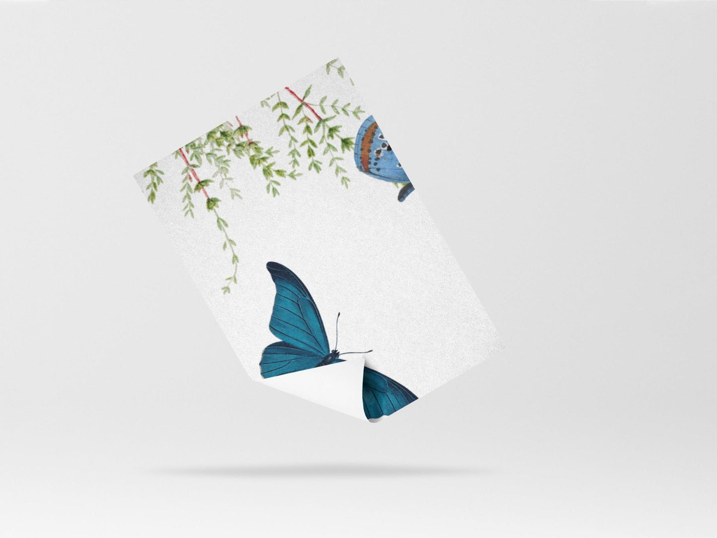 Butterfly Paradise