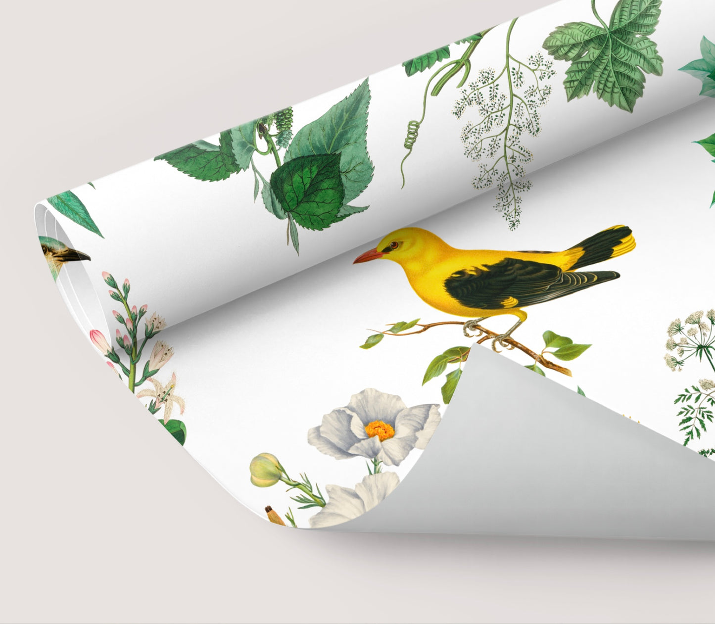 Wallpaper A Birds Paradise