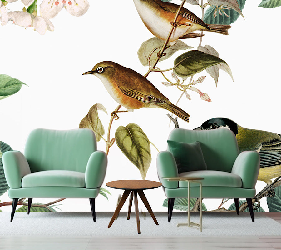 Wallpaper Birds lookout