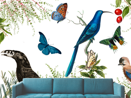 Butterfly Paradise
